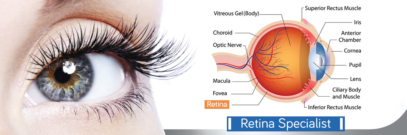 Retina Specialist In Aundh Pune